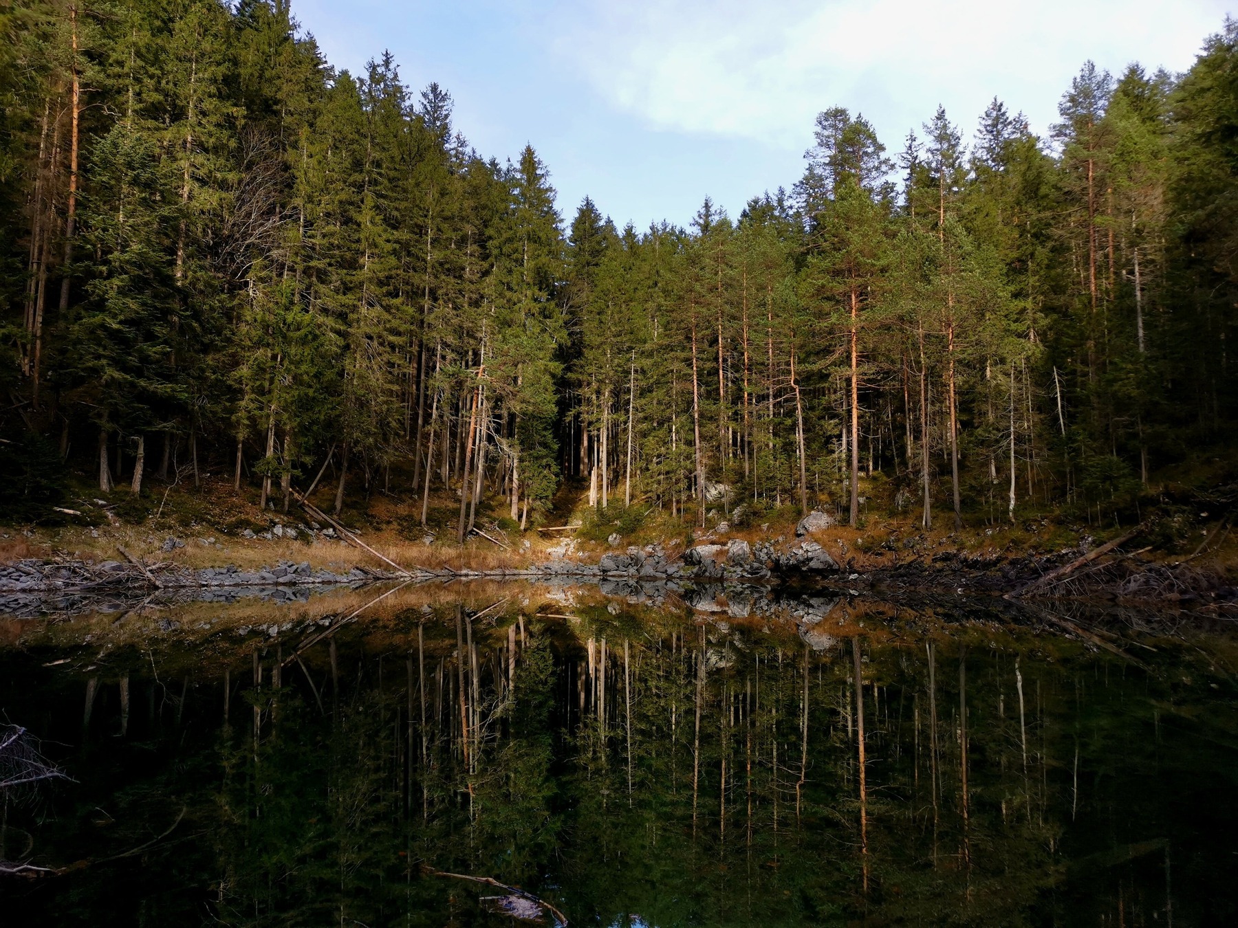 Överlevnadstips i vildmarken – förbered dig för det oväntade